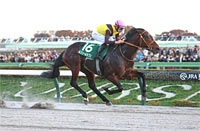 Musashino Stakes (G3)