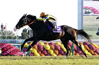 Mile Championship (G1)