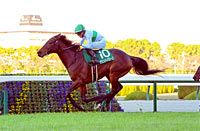Naruo Kinen (G3)