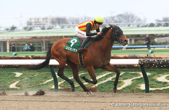 Negishi Stakes (G3)