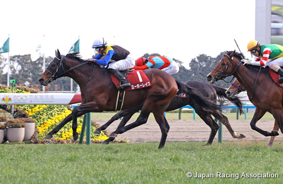 Kyoto Kinen (G2)