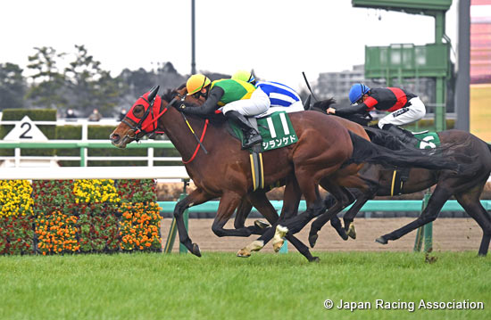 Laurel R.C. Sho Nakayama Himba Stakes (G3)