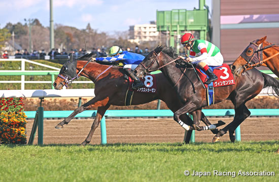 Hochi Hai Yayoi Sho Deep Impact Kinen (Japanese 2000 Guineas Trial) (G2)