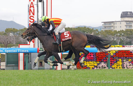 Hanshin Spring Jump (J-G2)