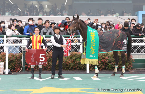 Hanshin Spring Jump (J-G2)
