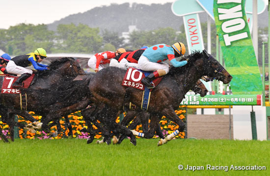 TV Tokyo Hai Aoba Sho (Japanese Derby Trial) (G2)