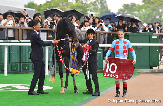 TV Tokyo Hai Aoba Sho (Japanese Derby Trial) (G2)