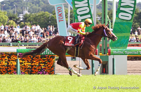 Keio Hai Spring Cup (G2)