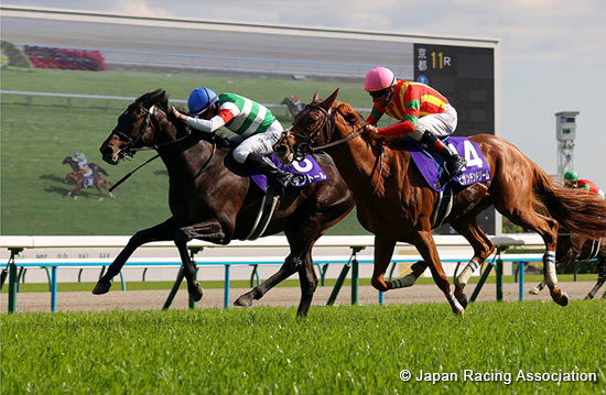Tenno Sho (Spring) (G1)