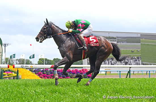Kyoto High-Jump (J-G2)