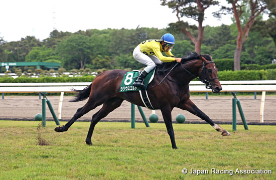 Niigata Daishoten (G3)