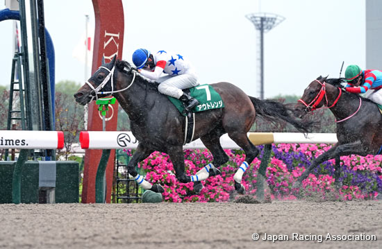 Heian Stakes (G3)