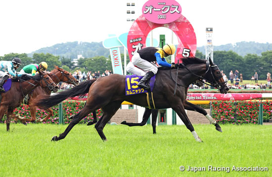 Yushun Himba (Japanese Oaks) (G1)