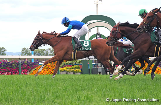 Aoi Stakes (G3)