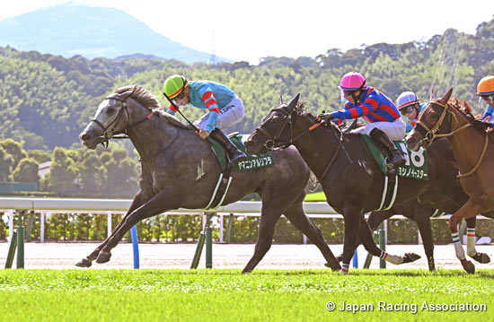 TV Nishinippon Corp. Sho Kitakyushu Kinen (G3)