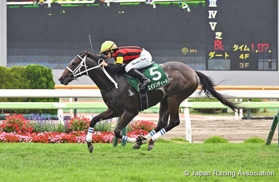 Hakodate Nisai Stakes (G3)