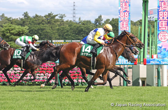 Sekiya Kinen (G3)