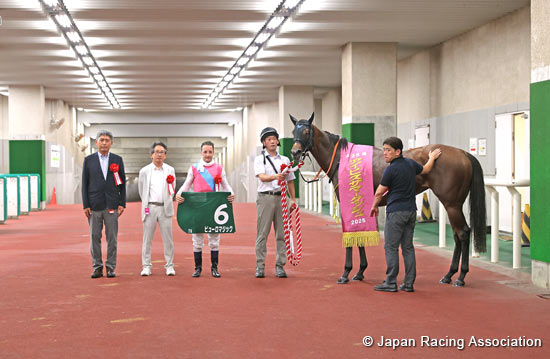 Ibis Summer Dash (G3)