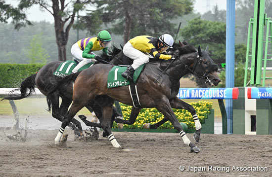 Leopard Stakes (G3)