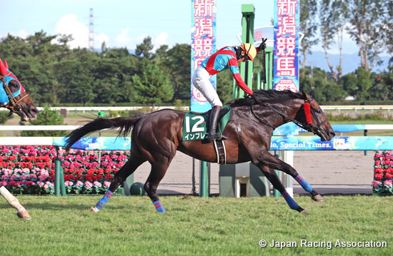 Niigata Jump Stakes (J-G3)