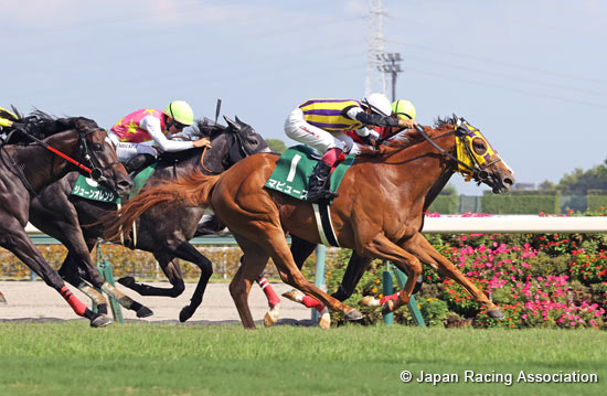 Chukyo Kinen (G3)