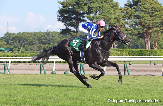 Niigata Nisai Stakes (G3)
