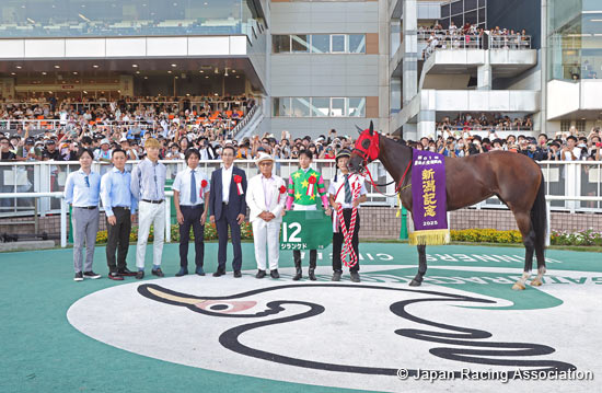Niigata Kinen (G3)