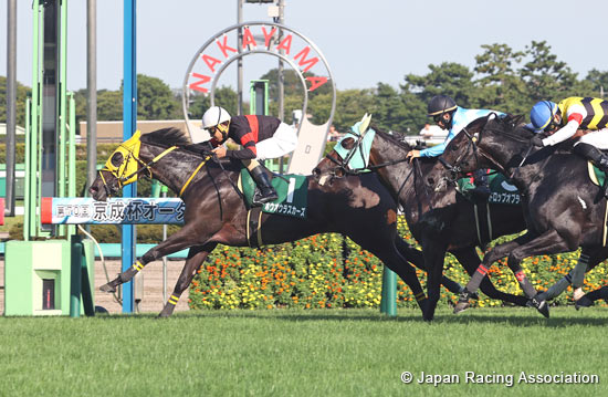 Keisei Hai Autumn Handicap (G3)