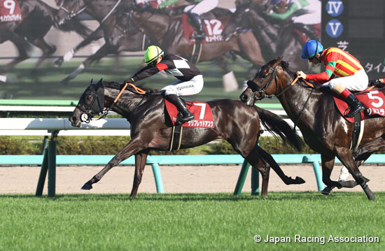 Shion Stakes (Shuka Sho Trial) (G2)