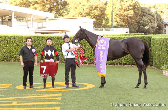 Shion Stakes (Shuka Sho Trial) (G2)