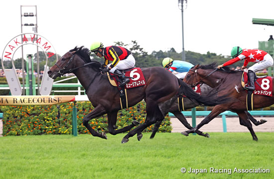 Asahi Hai St. Lite Kinen (Japanese St. Leger Trial) (G2)