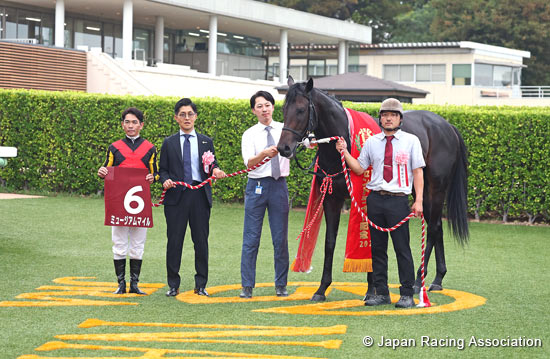 Asahi Hai St. Lite Kinen (Japanese St. Leger Trial) (G2)