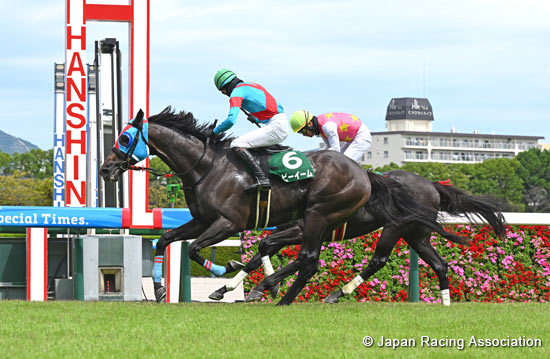 Hanshin Jump Stakes (J-G3)