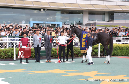 Kobe Shimbun Hai (Japanese St. Leger Trial) (G2)