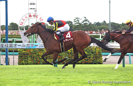 Sankei Sho All Comers (G2)