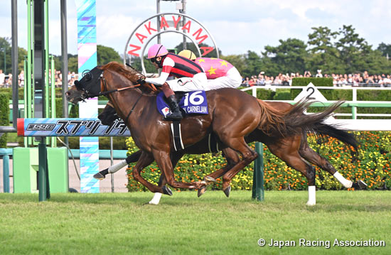 Sprinters Stakes (G1)