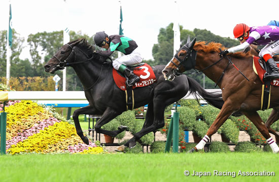 Kyoto Daishoten (G2)