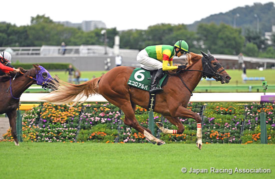 Saudi Arabia Royal Cup (G3)