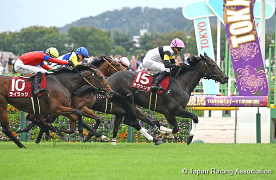 Ireland Trophy (G2)