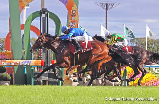 MBS Sho Swan Stakes (G2)