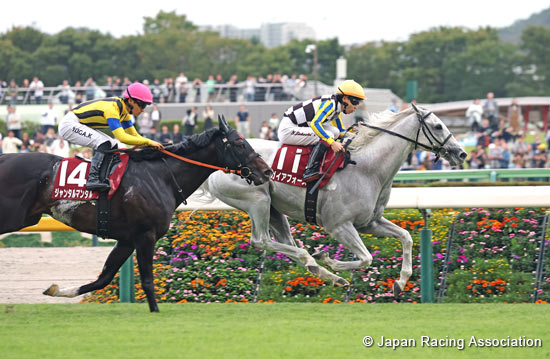 Fuji Stakes (G2)