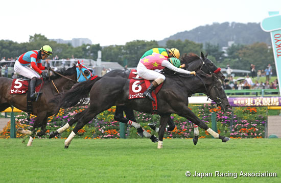 Tokyo High-Jump (J-G2)