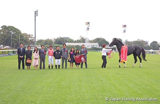 Tokyo High-Jump (J-G2)