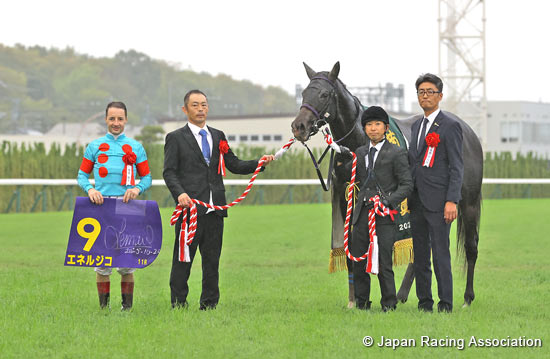 Kikuka Sho (Japanese St. Leger) (G1)