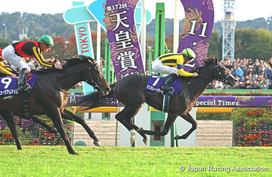 Tenno Sho (Autumn) (G1)