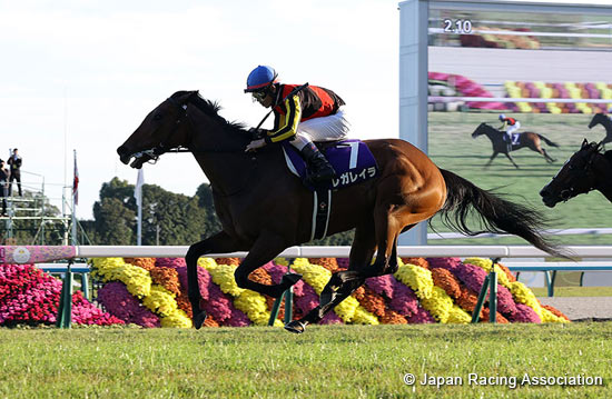 Queen Elizabeth II Cup (G1)