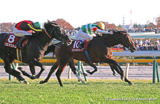 Tokyo Sports Hai Nisai Stakes (G2)