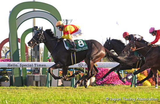 Radio Nikkei Hai Kyoto Nisai Stakes (G3)