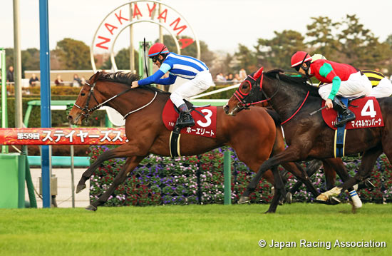 Sports Nippon Sho Stayers Stakes (G2)