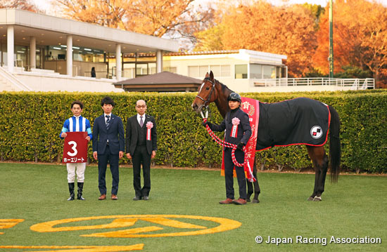 Sports Nippon Sho Stayers Stakes (G2)